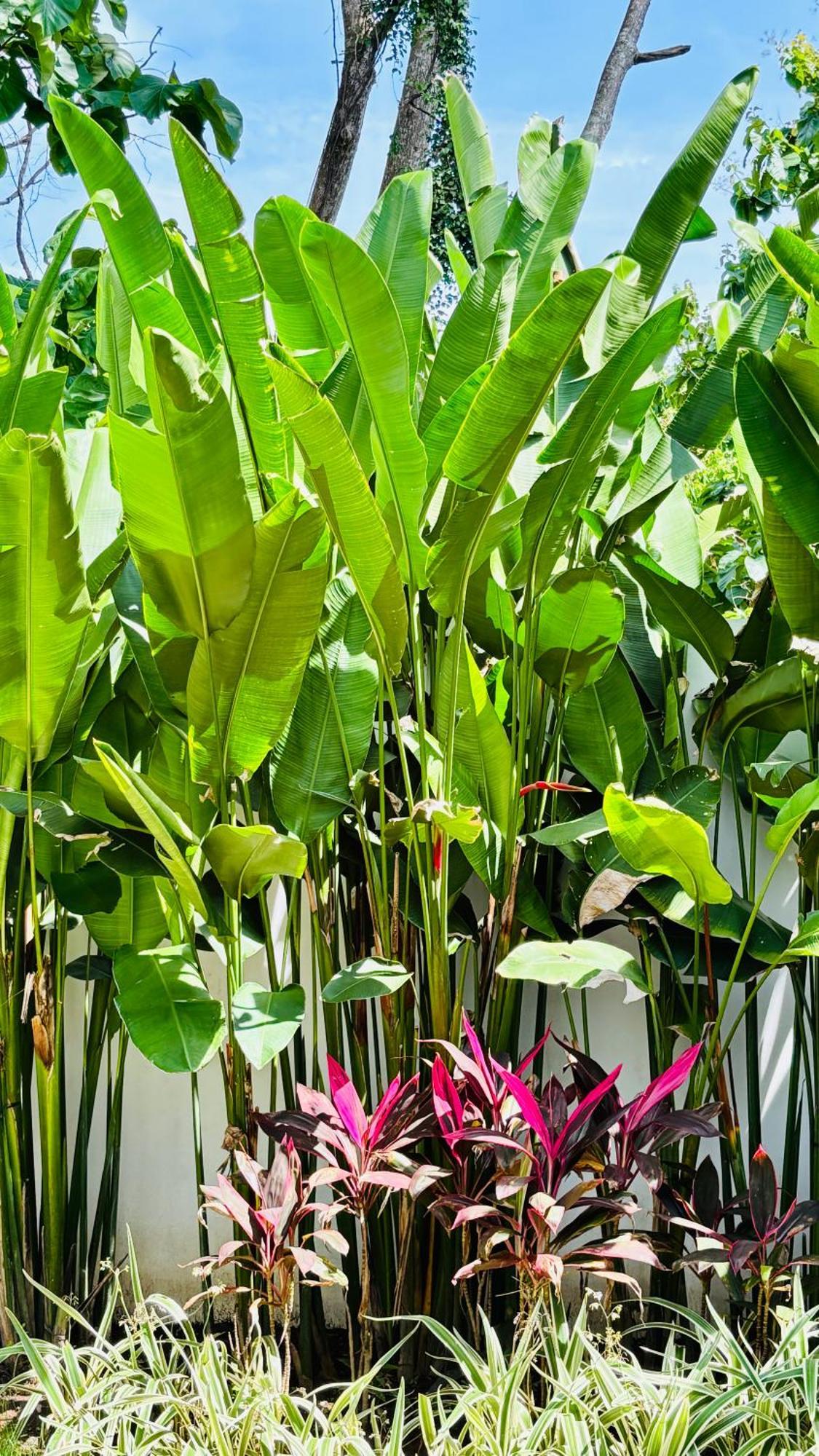 Mantra Wellness Center Hotel Uluwatu  Luaran gambar